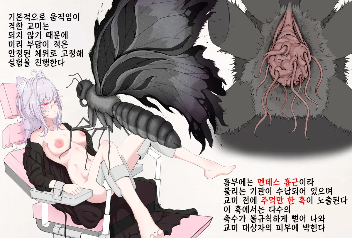 Mushi Research Report EX No.13